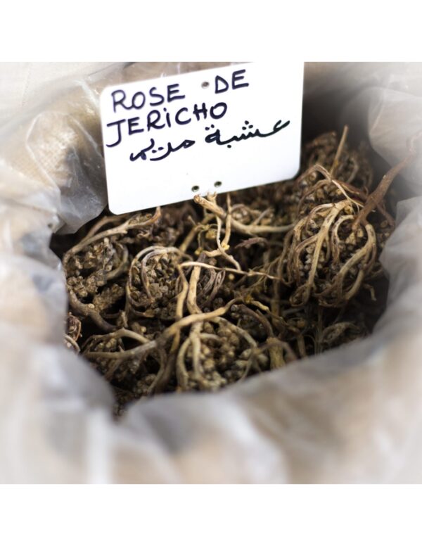 Rose de Jéricho - Chajarat Mariam - Plante Fertilité – 50 g – Image 2