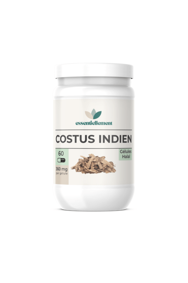 Costus Indien 60 Gélules - Santé Naturelle